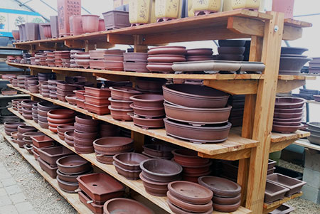 Pots at Bonsai West