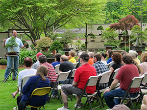 Michael demonstrates pruning on a bonsai before an attentive audience.