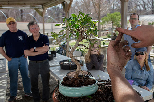 Lectures and Demos at Bonsai West