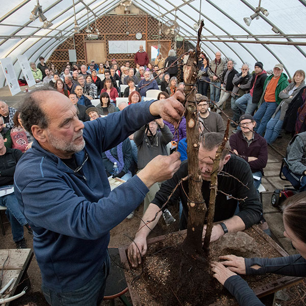 Winter Bonsai Demonstration