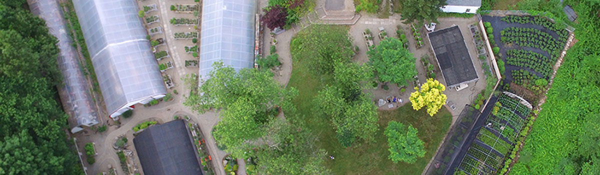 Aerial view of Bonsai West