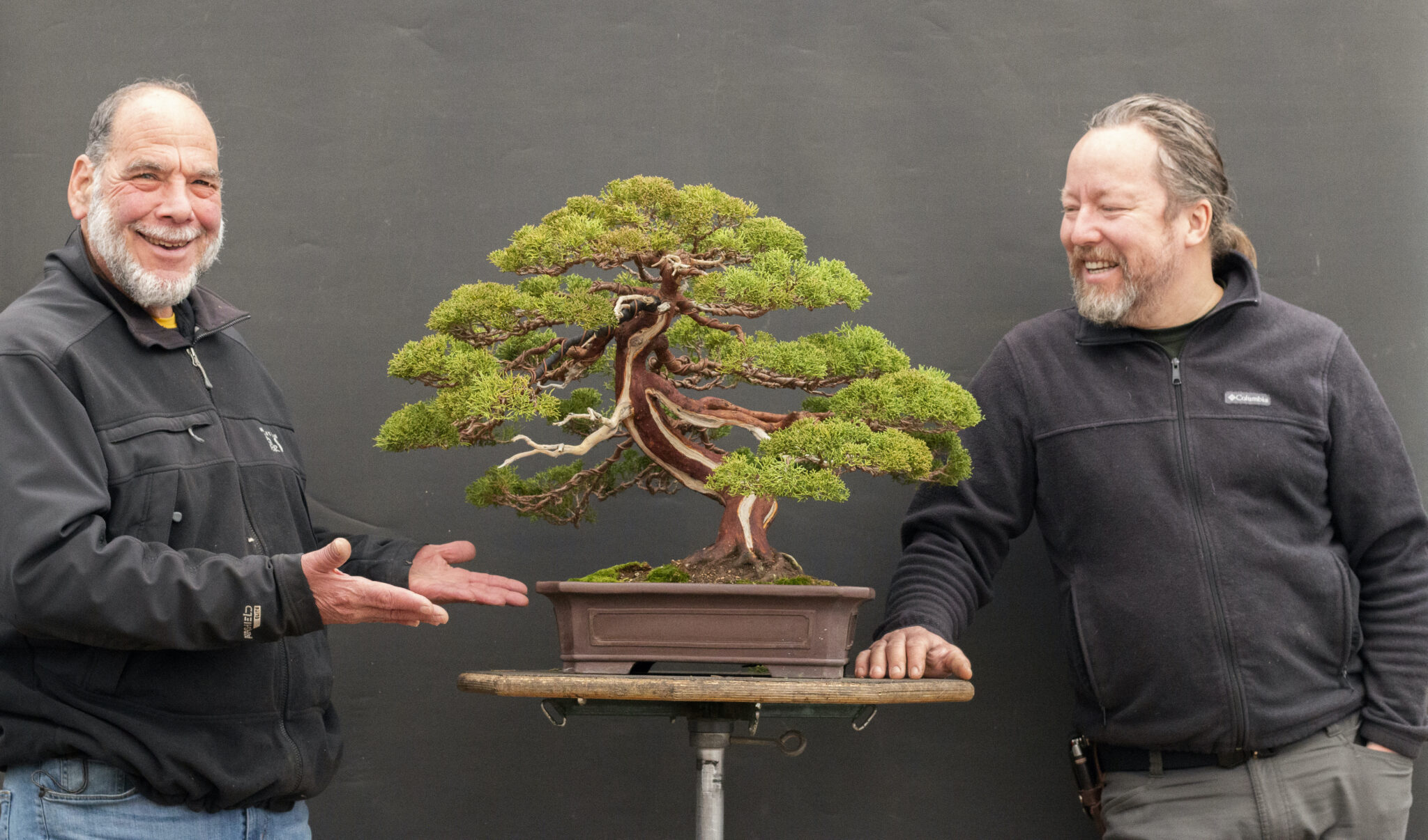 The School of Bonsai Year 2