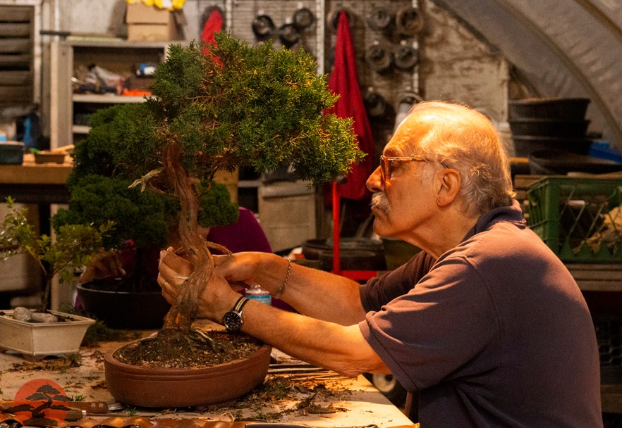 Class Schedule > Bonsai West